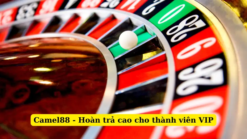 Camel88 - Hoàn trả cao cho thành viên VIP